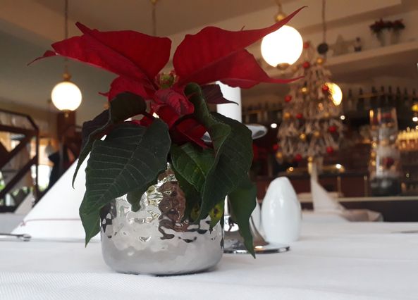 Frohe Weihnachten 2019